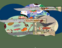 Свіже надходження ножів Opinel на Filingun.com.ua