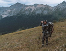 Нове надходження продукції Vortex