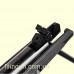 Винтовка пневматическая Gamo Black Knight Pack Adult