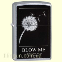 Зажигалка Zippo 29621 Wishes