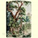 Зажигалка Zippo 46016 Jungle Design