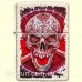 Зажигалка Zippo 49410 Skull Design Classic Mercury Glass