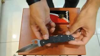 Нож Spyderco Endura Wave C10PGYW