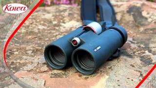 Kowa BD XD binoculars