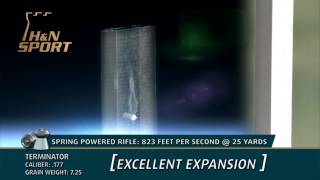 Terminator .117 cal.