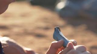 N°07 Outdoor junior - Sécurité et sifflet