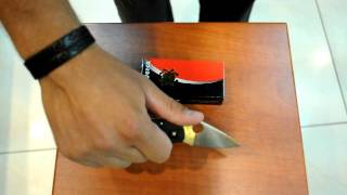 Нож Spyderco Dragonfly C28PBK