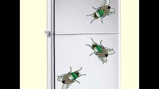 Зажигалка Zippo 24881 Flies