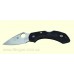 Нож Spyderco Dragonfly 2 Black FRN C28PBK2