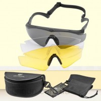 Окуляри тактичні Revision Sawfly Max Wrap Dlx Standard